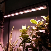 Светильник для растений Uniel ULI-P UL-00011264 цвет Белый-10