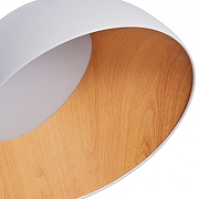 Накладной светильник Zortes Baum ZRS.01201.19 цвет плафона/подвески Белый, Коричневый, цвет арматуры Белый-2