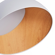 Накладной светильник Zortes Baum ZRS.01201.20 цвет плафона/подвески Белый, Красный, цвет арматуры Белый-2