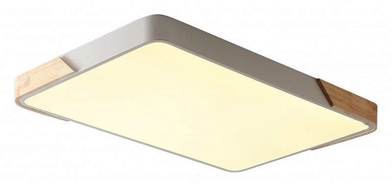 Накладной светильник Zortes Alberro ZRS.01233.60 