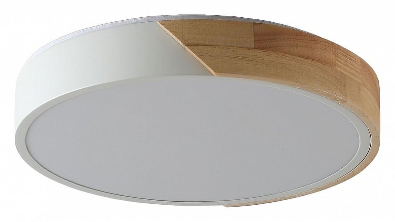 Накладной светильник Zortes Alberro ZRS.01239.90 