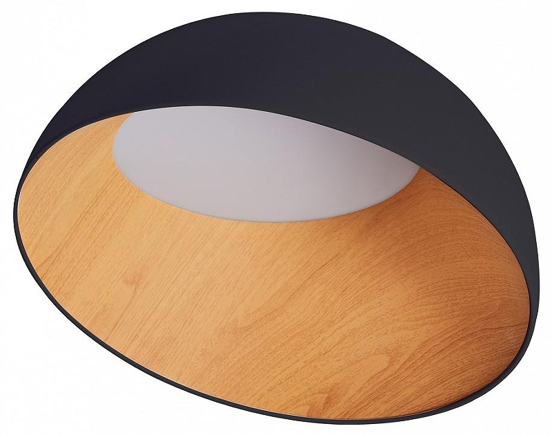 Накладной светильник Zortes Baum ZRS.01243.05 