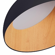 Накладной светильник Zortes Baum ZRS.01243.05 цвет плафона/подвески Коричневый, Черный, цвет арматуры Черный-1