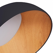 Накладной светильник Zortes Baum ZRS.01243.05 цвет плафона/подвески Коричневый, Черный, цвет арматуры Черный-2