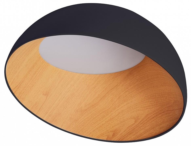 Накладной светильник Zortes Baum ZRS.01243.07 