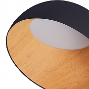 Накладной светильник Zortes Baum ZRS.01243.07 цвет плафона/подвески Коричневый, Черный, цвет арматуры Черный-2