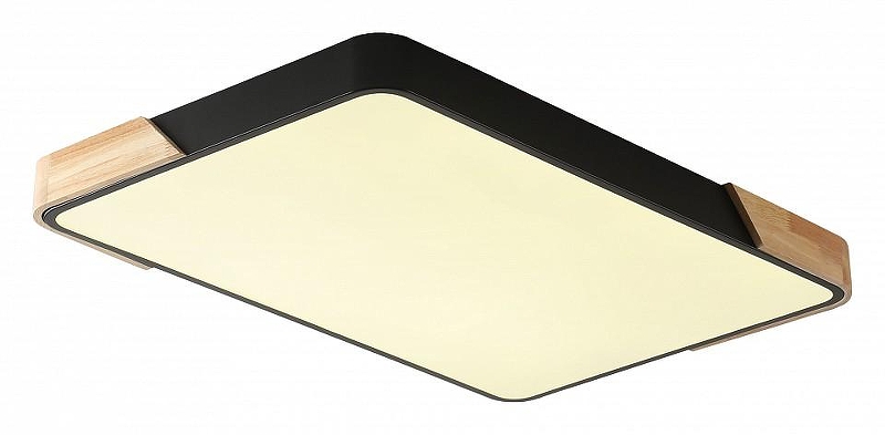 Накладной светильник Zortes Alberro ZRS.01244.60 