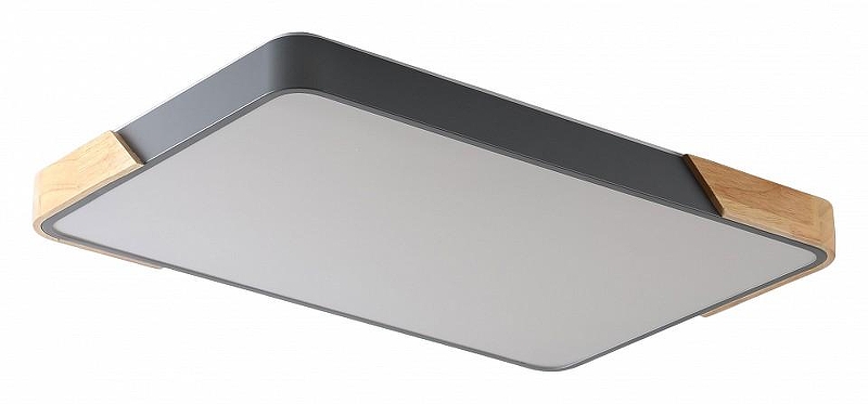 Накладной светильник Zortes Alberro ZRS.01277.60 