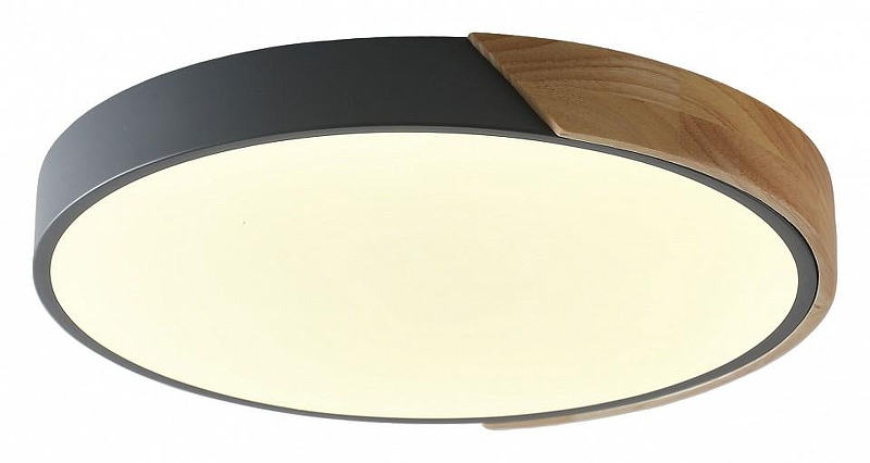 Накладной светильник Zortes Alberro ZRS.01280.24 