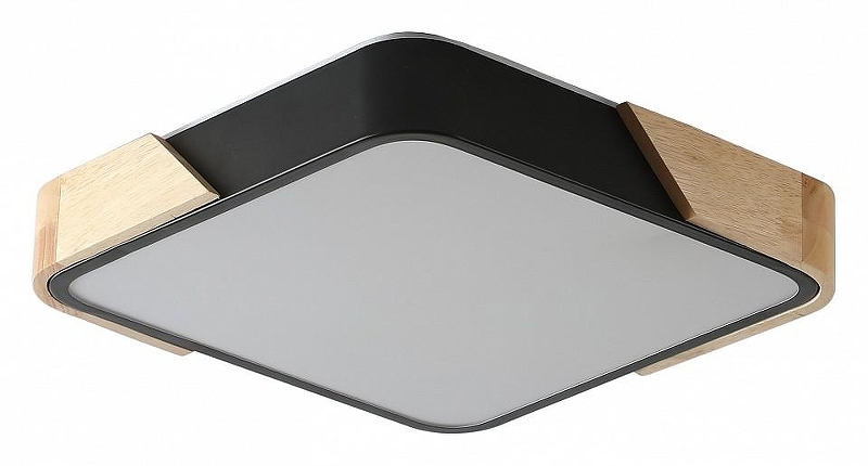 Накладной светильник Zortes Alberro ZRS.01281.60 