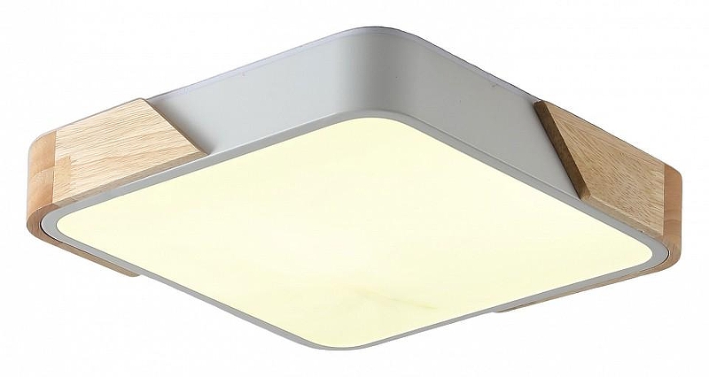 Накладной светильник Zortes Alberro ZRS.01285.60 