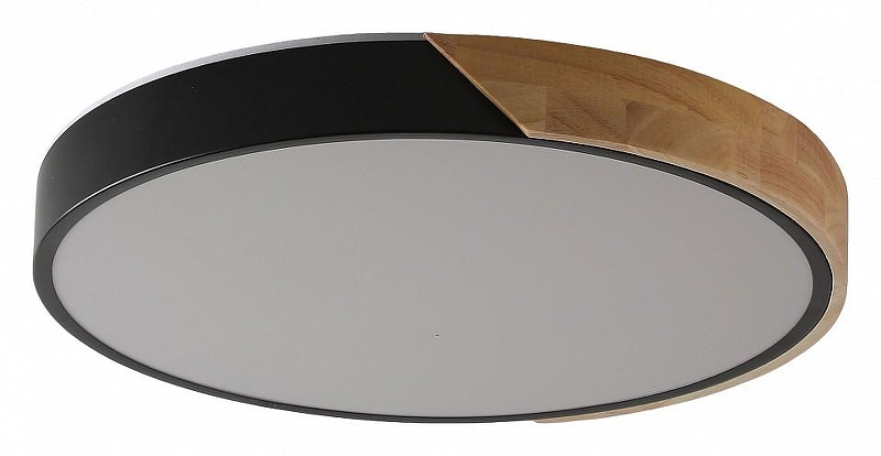 Накладной светильник Zortes Alberro ZRS.01287.48 