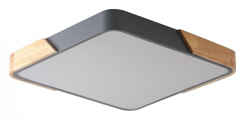 Накладной светильник Zortes Alberro ZRS.01288.60 