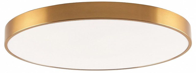 Накладной светильник Zortes Tortty ZRS.02566.96 