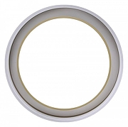 Накладной светильник Zortes Adel ZRS.1200.01 цвет плафона/подвески Белый, цвет арматуры Золото-8