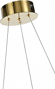 Подвесной светильник Zortes Dulana ZRS.1211.50 цвет плафона/подвески Прозрачный, цвет арматуры Золото-7