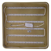 Накладной светильник Zortes Gabby ZRS.1215.04 цвет плафона/подвески Белый, Золото, цвет арматуры Золото-5