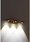 Накладной светильник Zortes Scoup ZRS.1823.03 цвет Латунь-2