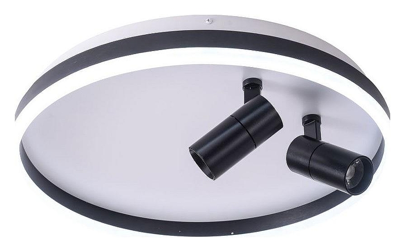 Накладной светильник Zortes Raizy ZRS.1888.01 