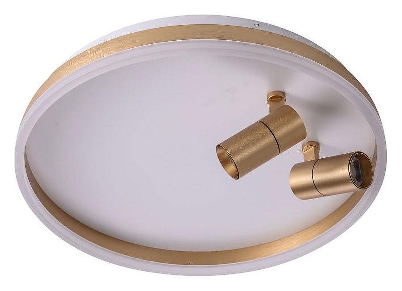 Накладной светильник Zortes Raizy ZRS.1888.02 