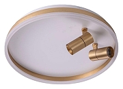 Накладной светильник Zortes Raizy ZRS.1888.02 цвет плафона/подвески Белый, Золото, цвет арматуры Золото