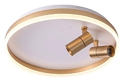 Накладной светильник Zortes Raizy ZRS.1888.02 цвет плафона/подвески Белый, Золото, цвет арматуры Золото-1