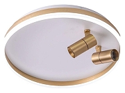 Накладной светильник Zortes Raizy ZRS.1888.02 цвет плафона/подвески Белый, Золото, цвет арматуры Золото-2
