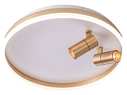 Накладной светильник Zortes Raizy ZRS.1888.02 цвет плафона/подвески Белый, Золото, цвет арматуры Золото-3