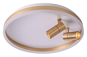 Накладной светильник Zortes Raizy ZRS.1888.02 цвет плафона/подвески Белый, Золото, цвет арматуры Золото-4