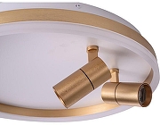 Накладной светильник Zortes Raizy ZRS.1888.02 цвет плафона/подвески Белый, Золото, цвет арматуры Золото-6