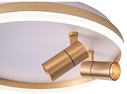 Накладной светильник Zortes Raizy ZRS.1888.02 цвет плафона/подвески Белый, Золото, цвет арматуры Золото-7