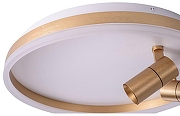 Накладной светильник Zortes Raizy ZRS.1888.02 цвет плафона/подвески Белый, Золото, цвет арматуры Золото-8