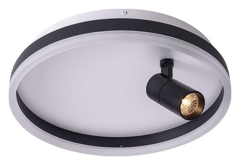 Накладной светильник Zortes Raizy ZRS.1888.03 