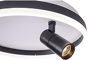 Накладной светильник Zortes Raizy ZRS.1888.03 цвет плафона/подвески Белый, Черный, цвет арматуры Черный-6