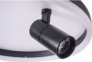 Накладной светильник Zortes Raizy ZRS.1888.03 цвет плафона/подвески Белый, Черный, цвет арматуры Черный-7