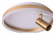 Накладной светильник Zortes Raizy ZRS.1888.04 цвет плафона/подвески Белый, Золото, цвет арматуры Золото
