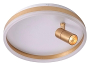 Накладной светильник Zortes Raizy ZRS.1888.04 цвет плафона/подвески Белый, Золото, цвет арматуры Золото-1