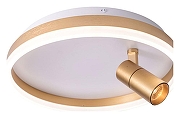 Накладной светильник Zortes Raizy ZRS.1888.04 цвет плафона/подвески Белый, Золото, цвет арматуры Золото-2