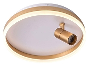 Накладной светильник Zortes Raizy ZRS.1888.04 цвет плафона/подвески Белый, Золото, цвет арматуры Золото-3