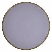 Накладной светильник Zortes Gabby ZRS.90610.40 цвет плафона/подвески Белый, Золото, цвет арматуры Золото-5