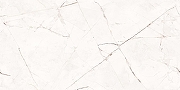 Керамогранит Duna Splendore RP-238567 Белый полированный 60x120 см