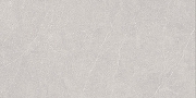 Керамогранит Duna Elenta RP-238578 Светло-Серый карвинг 60x120 см-1