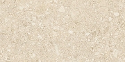 Керамогранит Duna Ceppo Di RP-238599 Бежевый карвинг 60x120 см