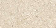 Керамогранит Duna Ceppo Di RP-238599 Бежевый карвинг 60x120 см-3