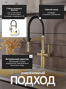 Смеситель для кухни Agger Elegant A3252599 цвет Золото матовое-3