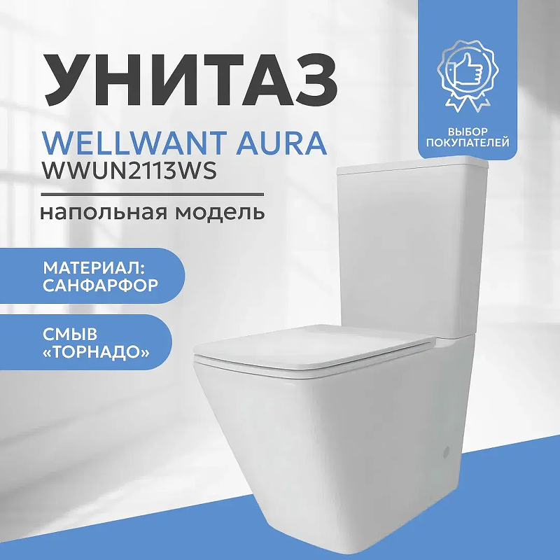 Унитаз компакт WellWant Aura WWUN2113WS