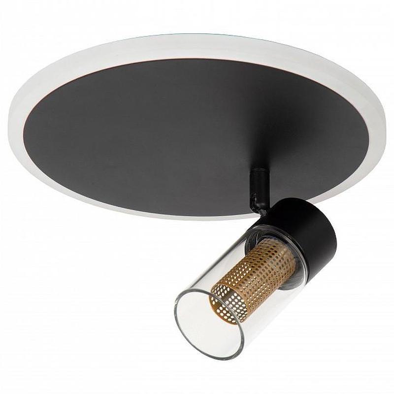 Накладной светильник Lucide Everina 00131/23/30 