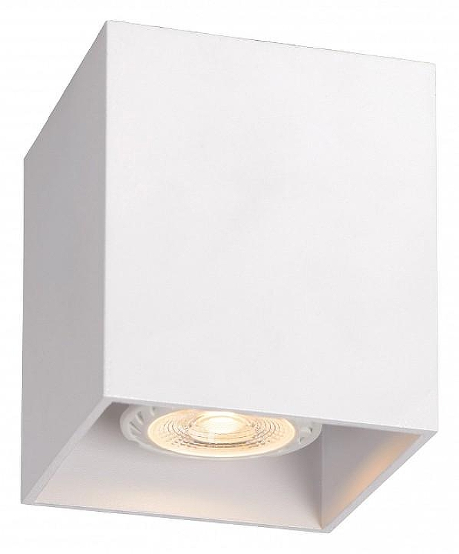 Накладной светильник Lucide Bodi 09101/01/31 