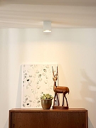 Накладной светильник Lucide Bodi 09101/01/31 цвет Белый-2