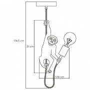 Подвесной светильник Lucide Extravaganza Chimp 10402/01/30 цвет Золото, Черный-5